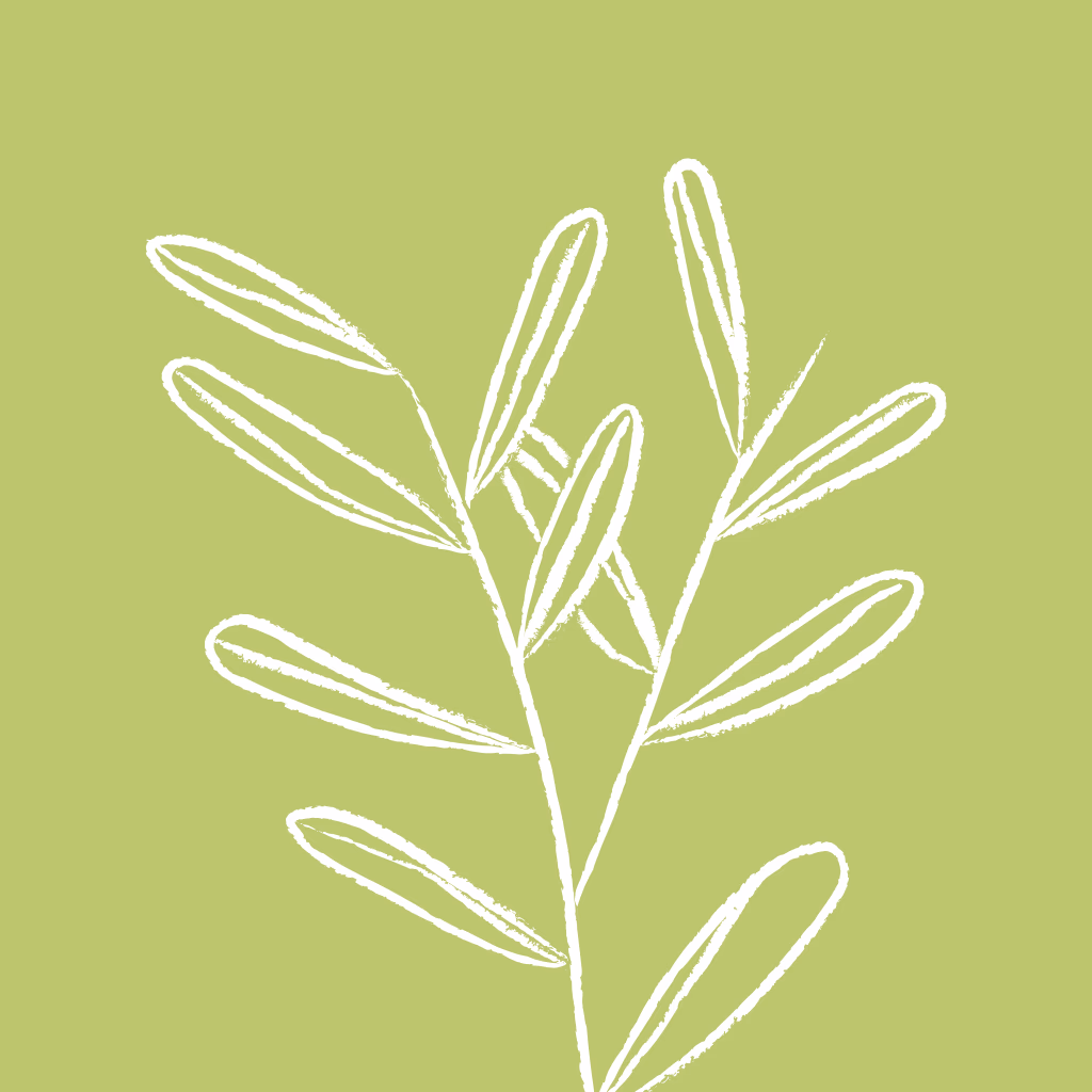 Sage green leaf branch icon for stroke